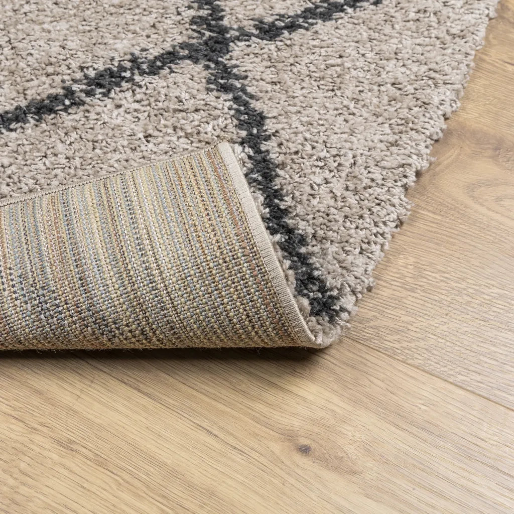 Tappeto Shaggy PAMPLONA a Pelo Lungo Beige e Antracite 80x250cm 375385