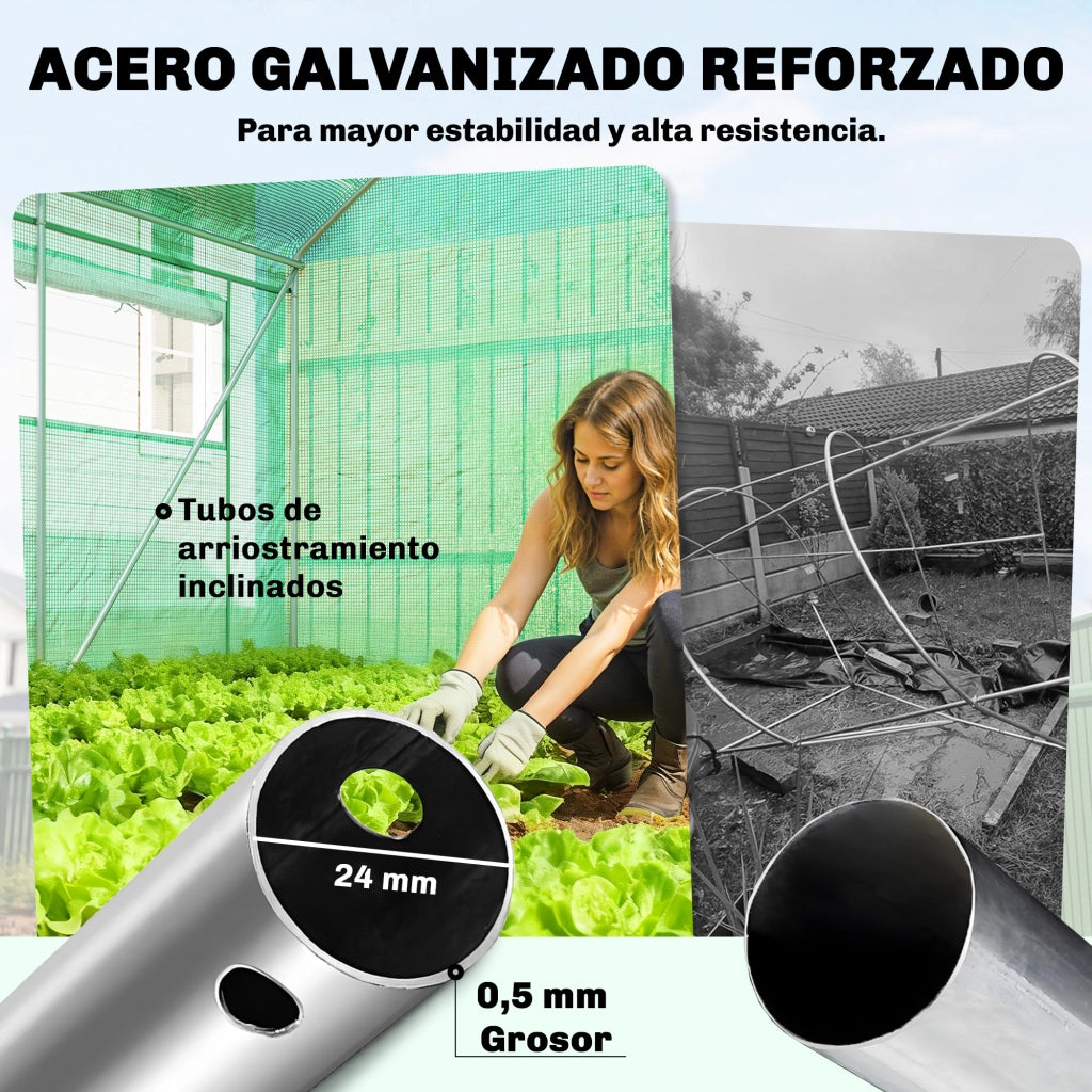 Serra Tunnel 6x3x2m ¨C Xylo ¨C 3 Porte Arrotolabili 6 Finestre Rete Acciaio Galvanizzato Verde