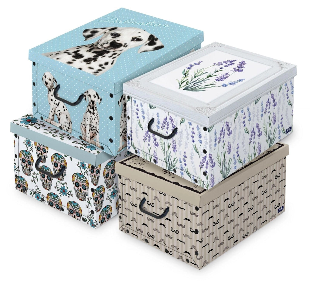 Domopak 914535 Living Scatola Portabiancheria in Cartone con Maniglie 39x50x24 cm colore Multicolore