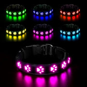 Collare da Cane con LED - Collare Illuminato - Collare USB Ricaricabile - Acqua Resistenente - Colorato - Collare di Sicurezza - Adatto per Cani - Medio