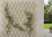Traliccio Estensibile In Legno Per Piante Rampicanti Recinzione Giardino Balcone - 150x200 - Naturale
