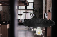 Lampada Da Soffitto APP1353-1CP Black