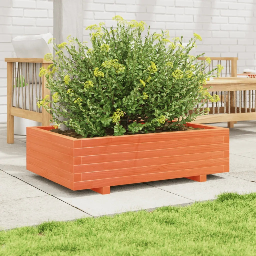 Fioriera | Cassetta per fiori | Vaso Giardino Marrone Cera 90x60x26,5cm Legno Massello Pino