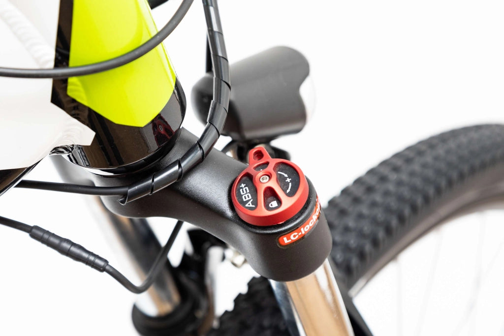 ITALIA POWER SHUNGITE 27.5" e-bike , mountain bike unisex adulto con motore 250 W Batteria al Litio 36V 10Ah estraibile