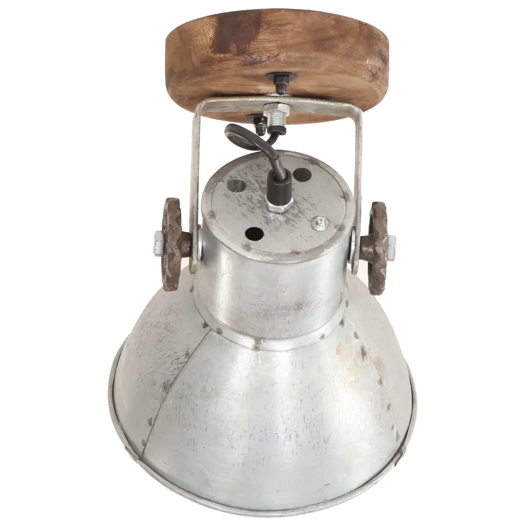 Lampade da Parete/Soffitto 2 pz Industriale Argento 20x25cm E27 CFW2699476