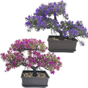 Bonsai Artificiale - Pianta d'Arte per Decorazione di Interno e Esterno