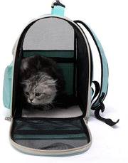 Casella di trasporto per piccoli animali domestici, gatti, cani, conigli 1 chilogrammo