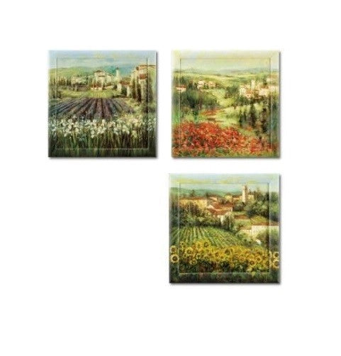 Quadro da Parete oleografico cornice dipinta 45 x 45 cm 3 Modelli