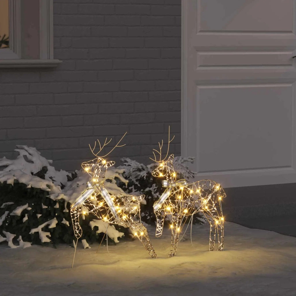 Renne LED con 40 LED 2 pz Bianco caldo PET CFW1874845
