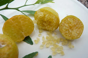 LIMONE CAVIALE Ovale Eremorange (Citrus glauca x Citrus sinensis) FOTO REALI