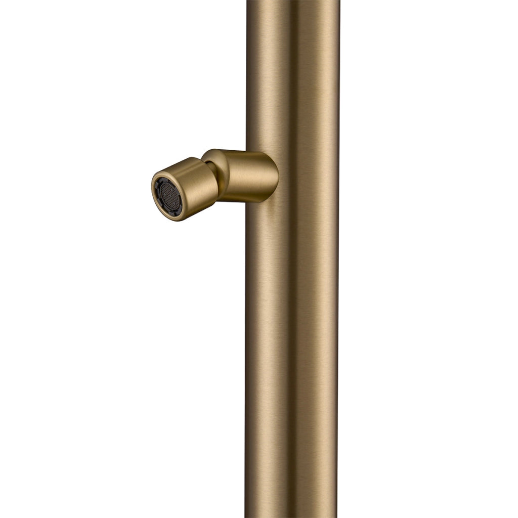 Doccia da Giardino 228,9x18x25 cm con Soffione e Lavapiedi Sined Quartu Oro
