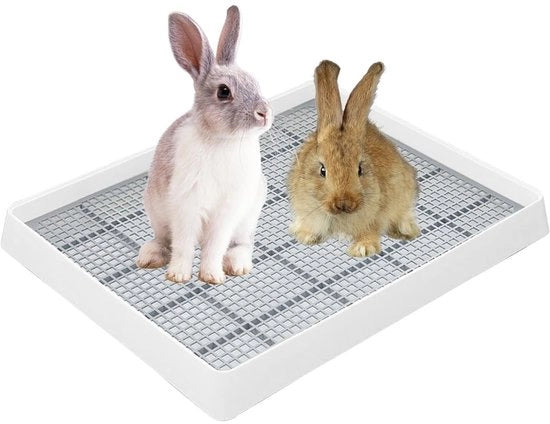 Cassetta WC per Animali XL - Urinebak - Adatto per Conigli - Cavia - Chinchilla - Dimensioni 383 × 309 × 65 mm