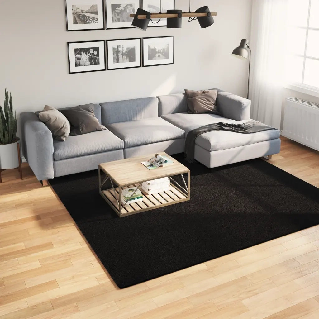 Tappeto del soggiorno | Tappeto a Pelo Corto HUARTE Morbido e Lavabile Nero 240x240cm