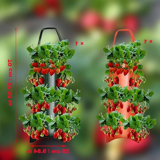 Pannelli Verticale per Piante con Maniglione per Fragole e Pomodori - 2 Pezzi - Respiranti - 6 Fori
