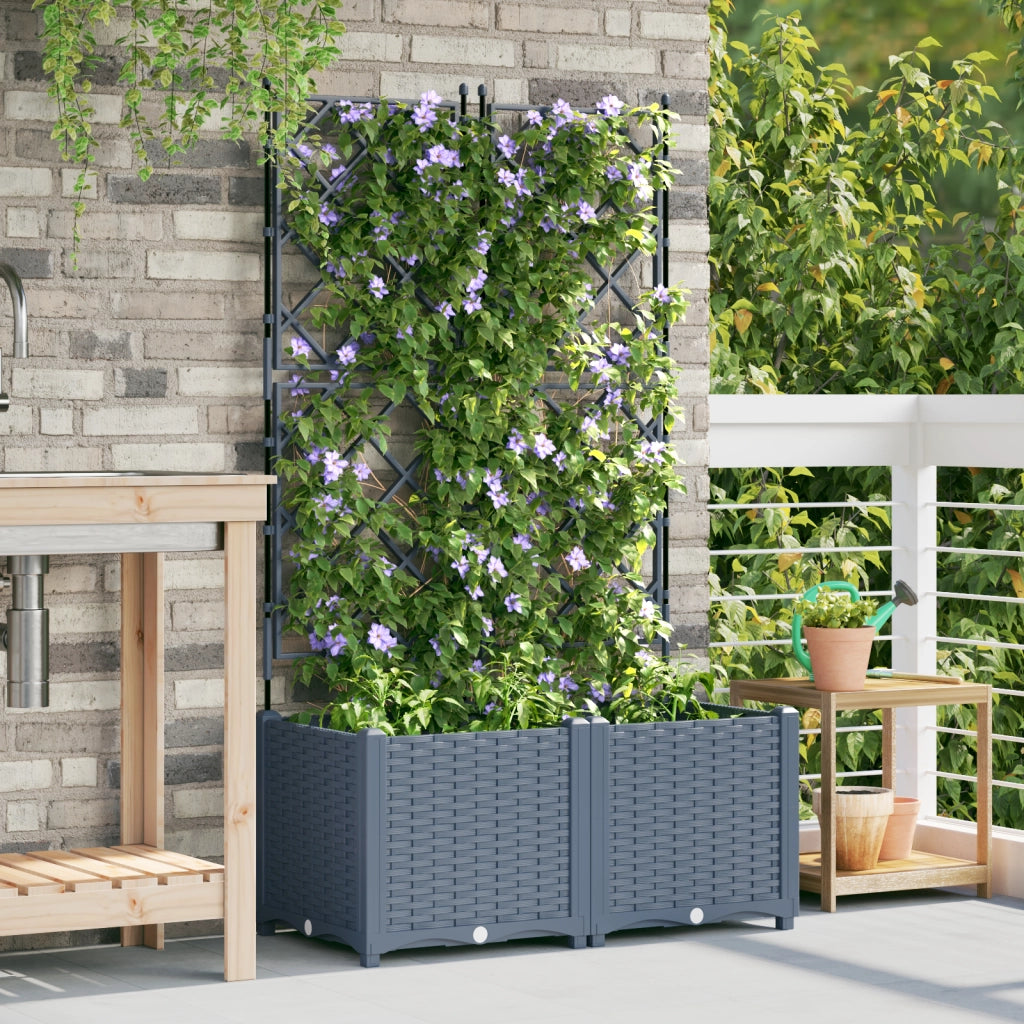 Fioriera da Giardino con Graticcio 2 pz Grigio Chiaro 80x40x143 cm