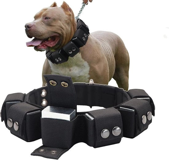 Cinturino tattico per cani con pesi regolabili per addestramento – Adatto per cani piccoli, medi e grandi