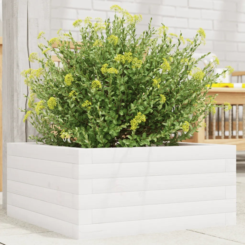 Fioriera da Giardino-Vaso da Esterno Bianca 50x50x23 cm Legno Massello di Pino