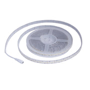 Striscia led 24V ip65 con nuova siliconatura 240 led/mt 45w luce naturale 4000k