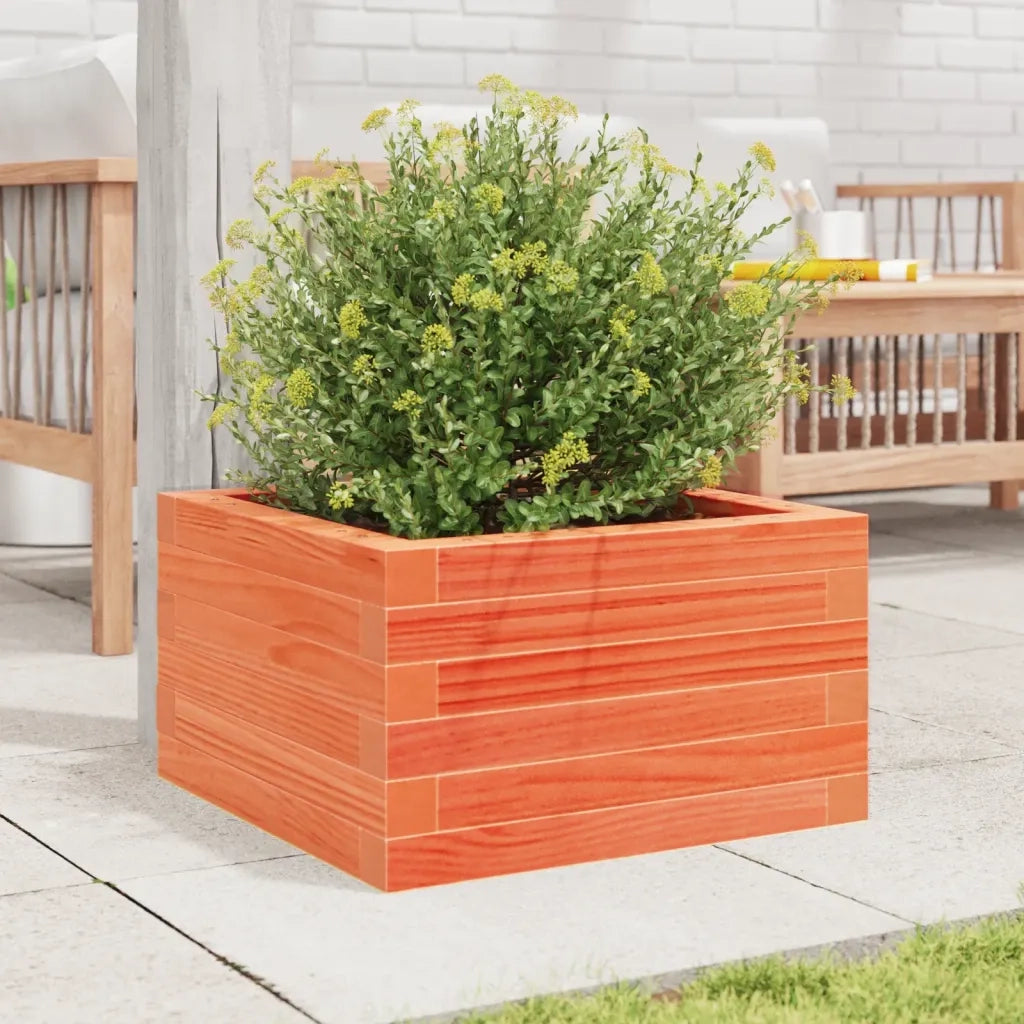 vidaXL Fioriera Giardino Marrone Cera 40x40x23 cm Legno Massello Pino