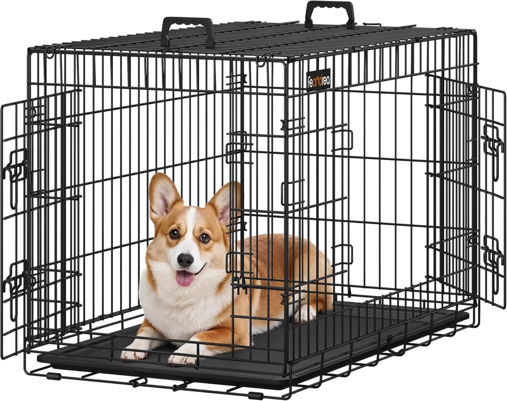Feandrea Gabbia per Cani Pieghevole, con 2 Porte, Vassoio Rimovibile, 136 x 79 x 84 cm, XXXL, Nero PPD054B01