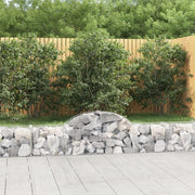 Cesti Gabbioni ad Arco 20 pz 200x30x40/60 cm Ferro Zincato 3146062