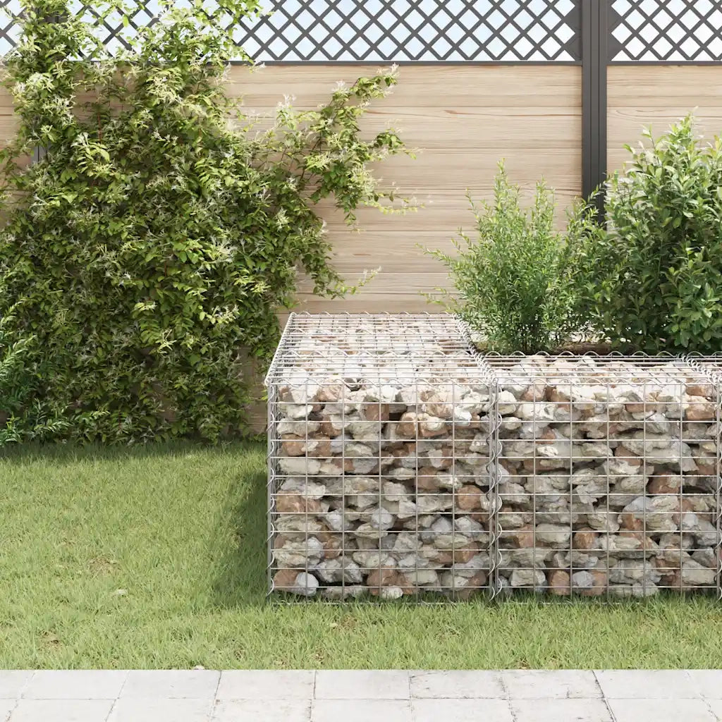 Gabbione Fioriere | Cassetta per fiori | Letto Rialzato a Cubo in Filo di Acciaio 60x60x60 cm