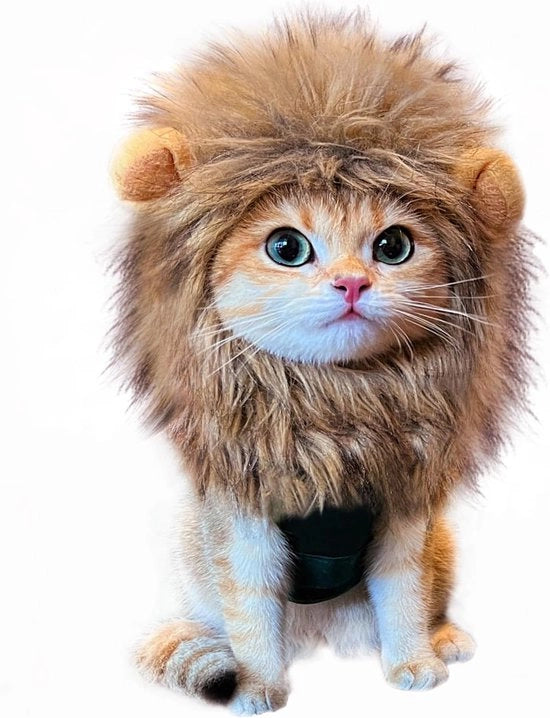 Costume da gatto - Cappuccio adattabile per gatti - Comodo e lavabile - Ideale per Pasqua - (M 28-32CM)