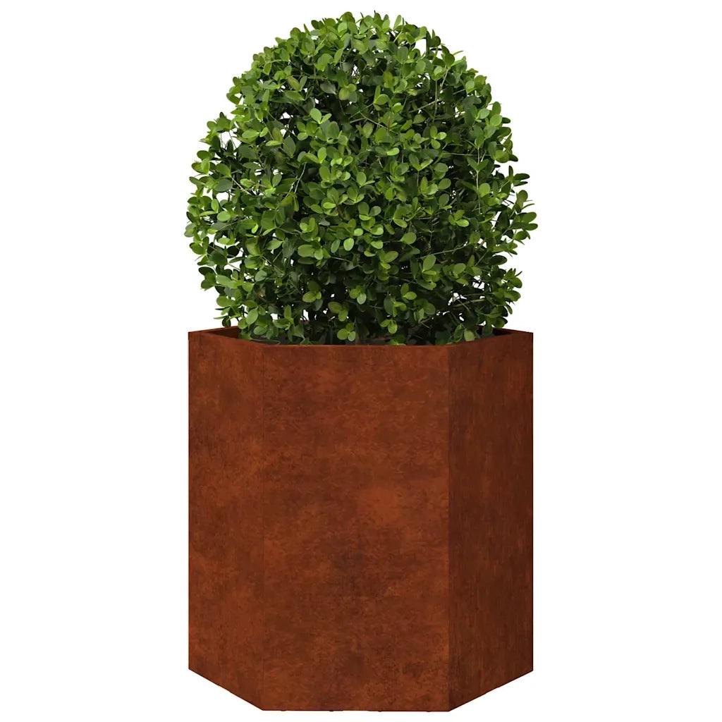 2 pz Fioriere | Cassetta per fiori | Vaso da Giardino Esagono 46x40x45 cm in acciaio corten