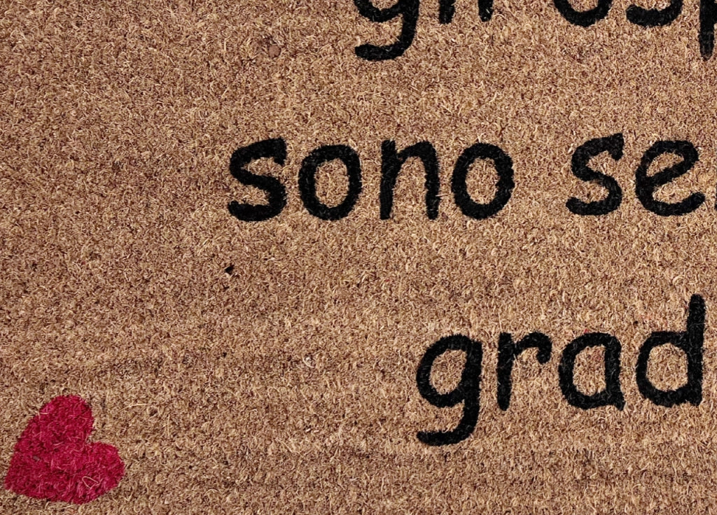 Zerbino Entrata Ingresso Casa Esterno Antiscivolo Cocco Disegno Ospiti Graditi