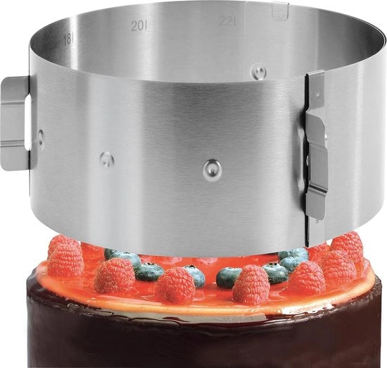 Anello per torta regolabile 10 cm alto in acciaio inossidabile - Anello per torta regolabile - Stampo per torta con chiusura - Per la cottura e la preparazione di torte