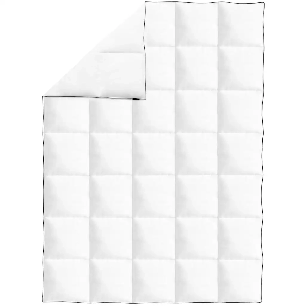 Piumone Invernale Piuma Anatra 150x200 cm 132881