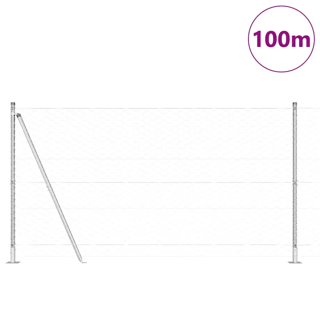 Palo della recinzione Argento 100 x 1,4 m (rete 50 mm) Acciaio