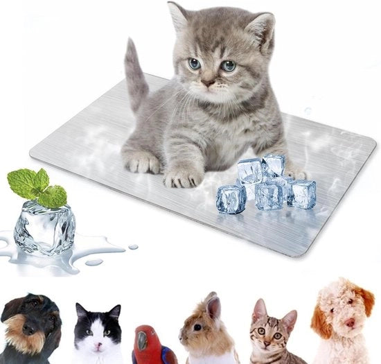 Mat di Raffreddamento per Piccoli Animali da Compagnia 30 x 20 cm in Alluminio per Conigli, Cavi e Hamster