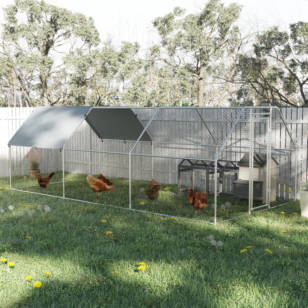 Pollaio Gabbia per Galline da Esterno 280x570x195 cm in Metallo