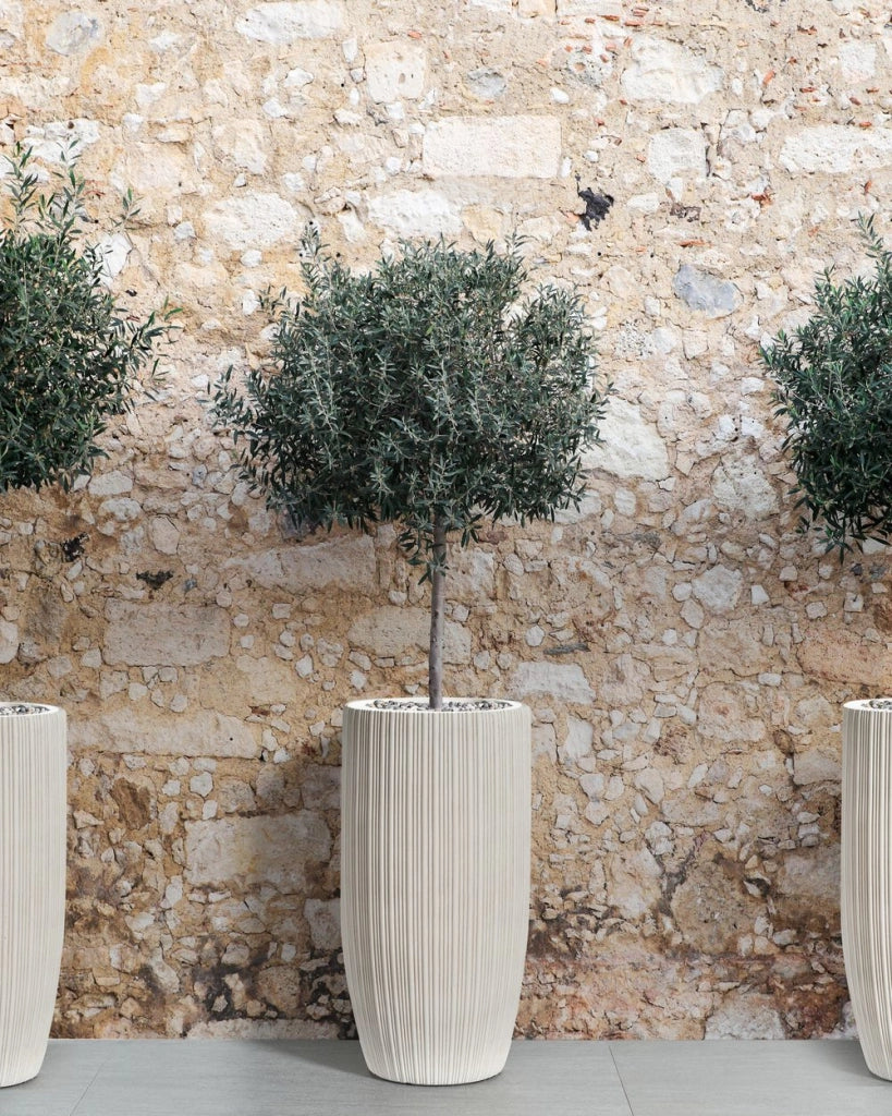 Vaso per piante Beige Chiaro 35x35x70 cm MgO Rotondo Gessato Indoor Outdoor Resistente alle intemperie