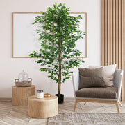 Ficus artificiale realistico con vaso in cemento, altezza 180 cm, verde