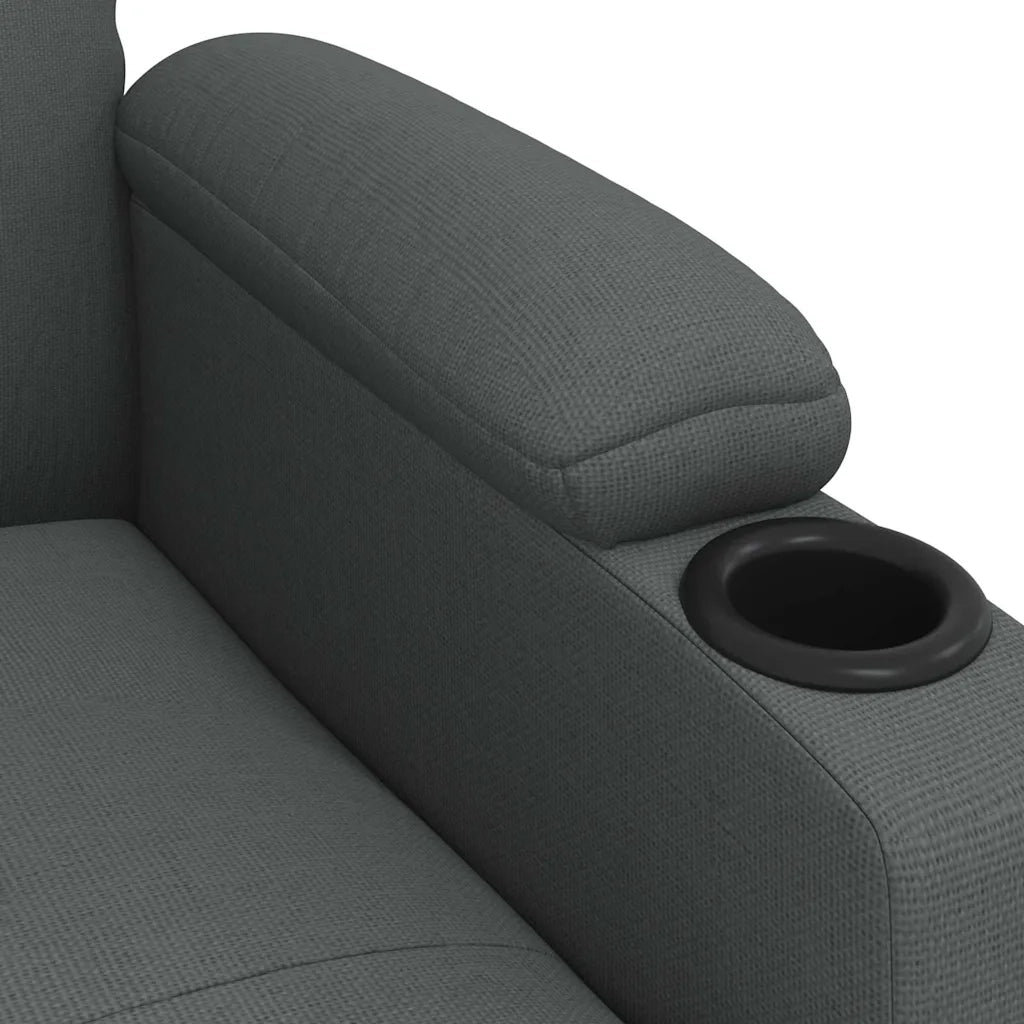 Divano Sedia-Poltrona Reclinabile in Tessuto Grigio Scuro 883517