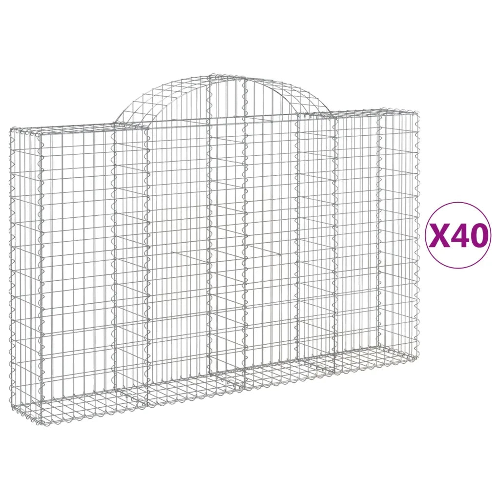 Cesti Gabbioni ad Arco 40 pz 200x30x120/140 cm Ferro Zincato