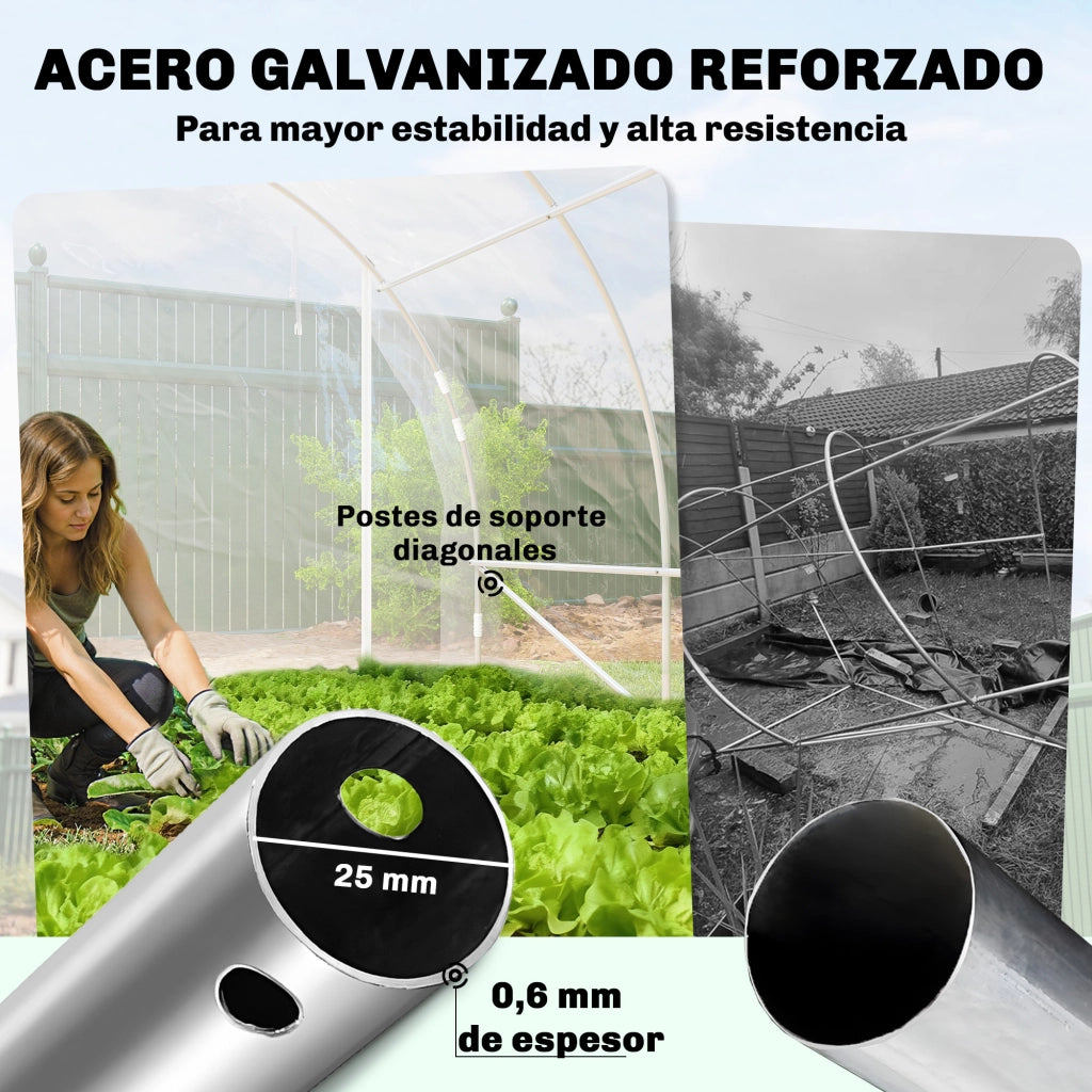 Serra Tunnel ¨C Minimal ¨C 6x3x2 m Acciaio Galvanizzato PE Anti-UV Trasparente 2 Porte