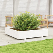 Fioriera da Giardino Bianca 110x110x26,5 cm in Legno di Pino 847324