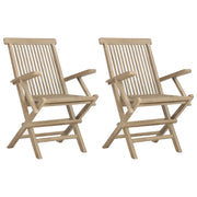 Sedie Giardino Pieghevoli 2 pz | Sedie da Esterno Grigie 56x61x89 cm Massello Teak