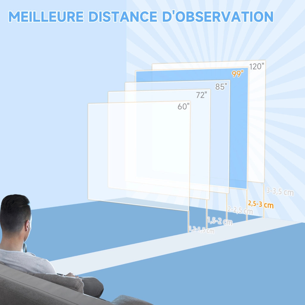 Telo da proiezione per TV e Home Cinema 99 pollici 4K HD ¨C zephmum ¨C 178x178 cm