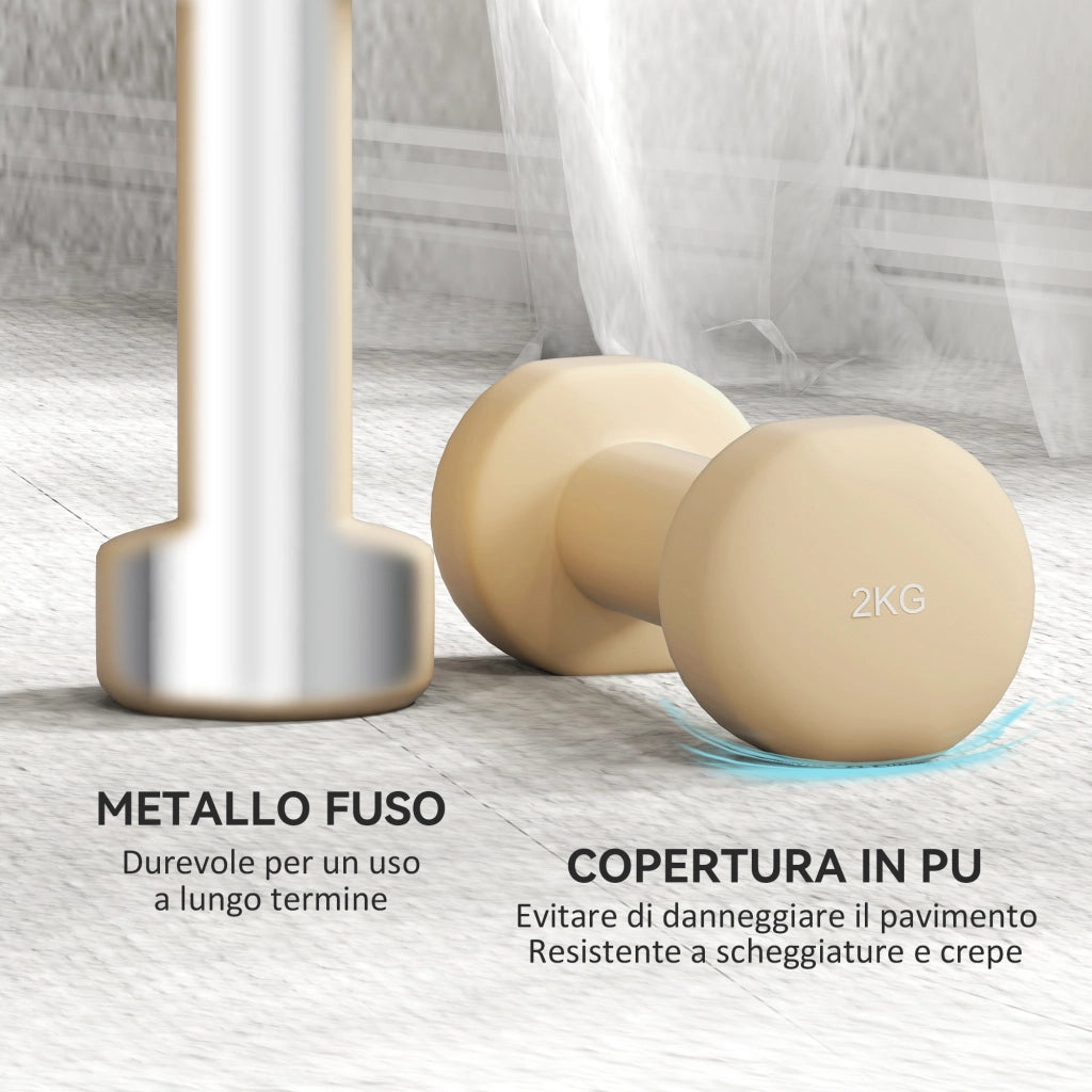 Set Manubri 10 kg con Valigetta Porta Pesi, in Metallo, PU e Plastica, 41x30x8 cm, Multicolore