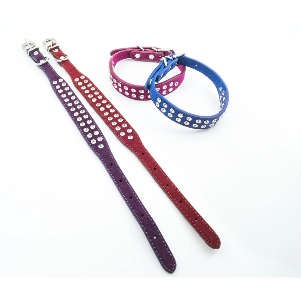 Trade Shop - Collare Per Cane Cani Con Strass E Brillantini Brillantinato Taglia Media -