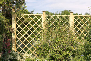 Pannello Grigliato per Rampicanti 80x180 cm in Legno Impregnato