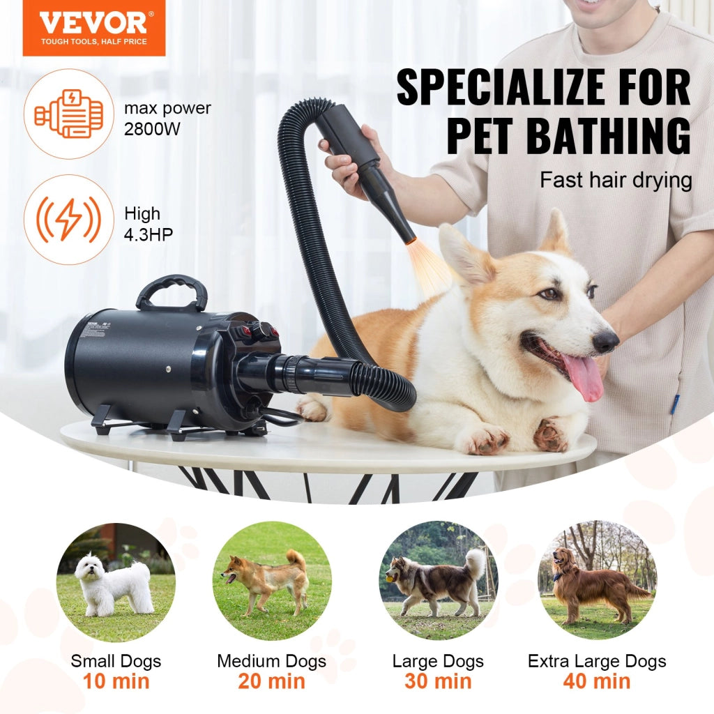 Asciugatore Soffiatore per Cani e Gatti 2000W Portatile, Velocita Regolabile Max 70 m/s, con 4 Ugelli e Tubo 239 cm, STL-1908 Nero
