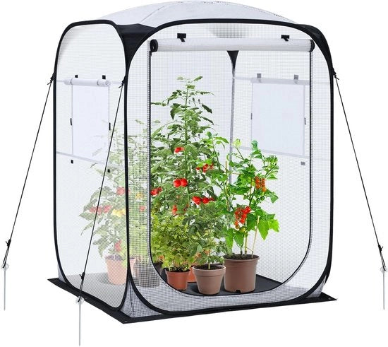 Serra a schermo per pomodori con copertura in PE e controllo remoto