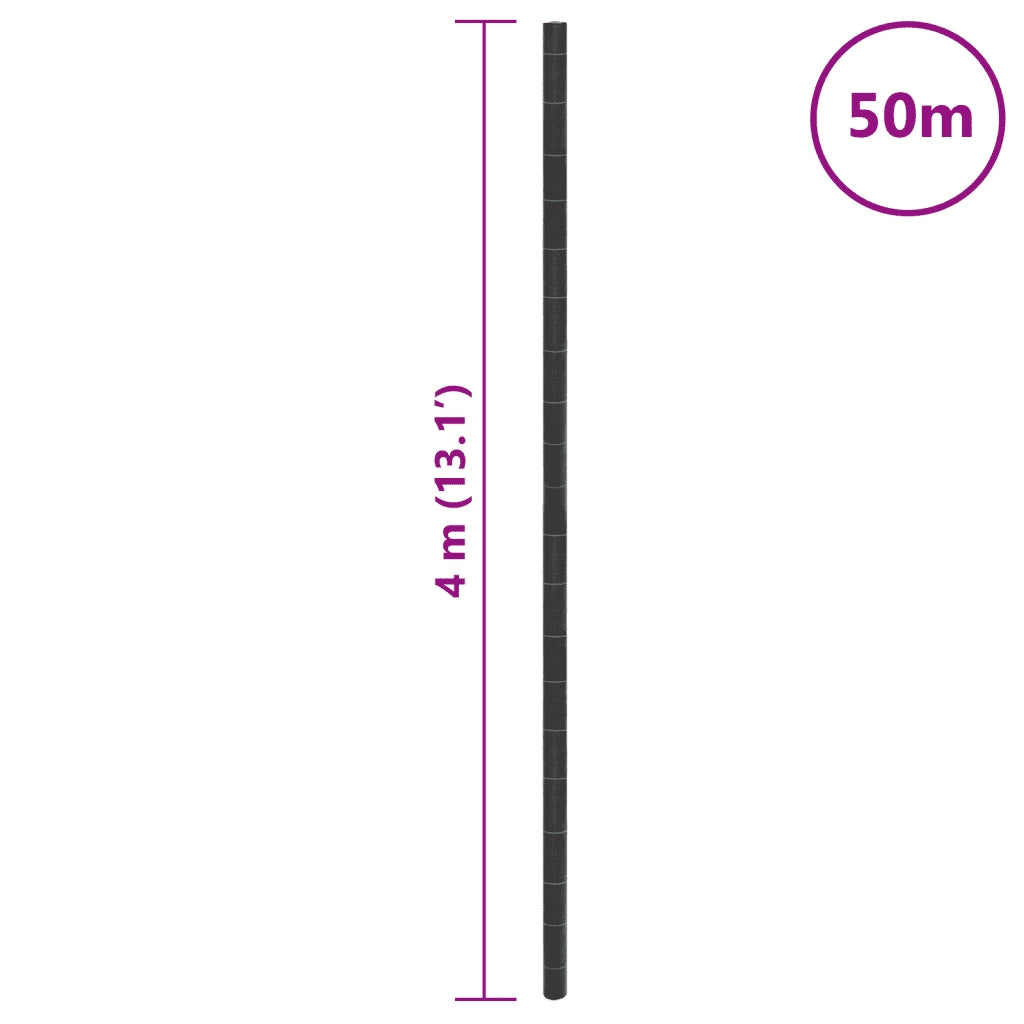 Membrana Antierbacce Nera 4x50 m in PP CFW3175845