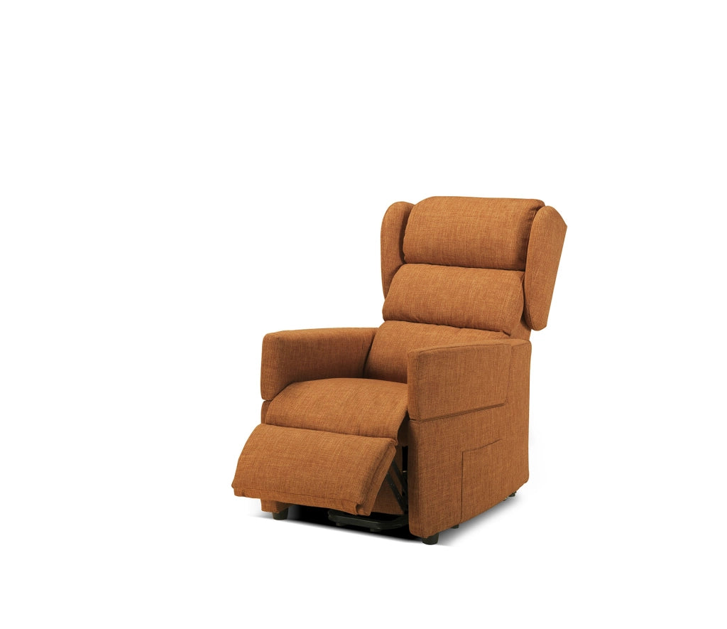 Poltrona Alzapersona 72x80-175x111 cm con Bracciolo Estraibile Dispositivo Medico 1 in Poliestere Nosteo Lenny 641