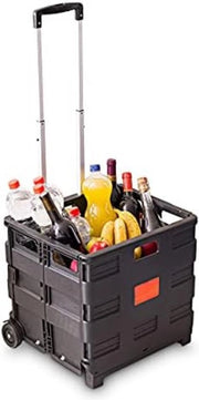 Carrello per spesa con contenitore refrigerato - Carrello per spesa - Carrello per spesa con ruote - Carrello per spesa con ruote - 39D x 45B x 101H cm - 45L - Nero